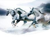 省内排行前十，，设计、施工实力排前